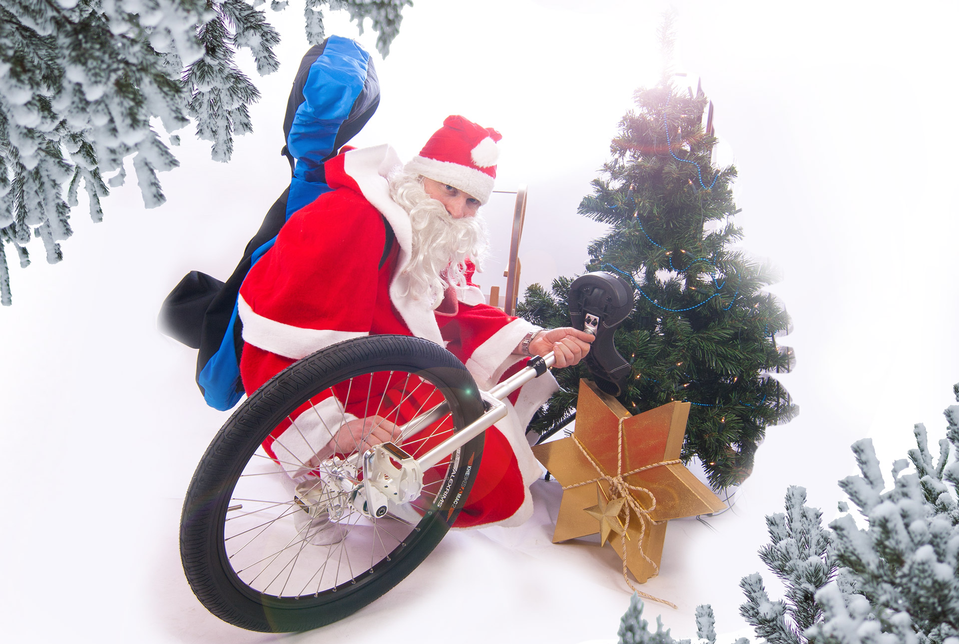 Pflanze, Baum, Rad, Person, Tanne